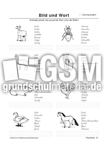 BuW Haustiere41.pdf